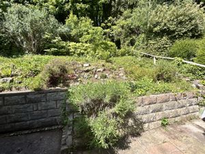 Photo 27- click for photo gallery